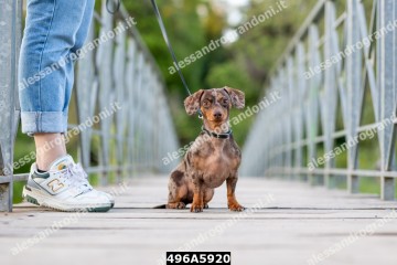 496A5920.jpg