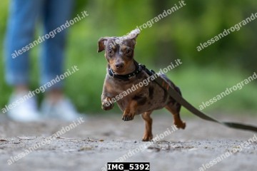 IMG_5392.jpg