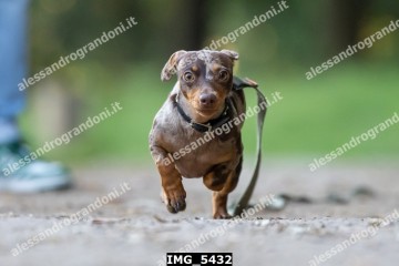 IMG_5432.jpg