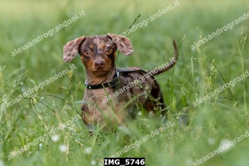 IMG_5746.jpg