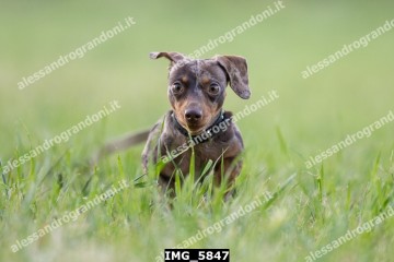 IMG_5847.jpg