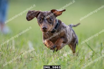 IMG_5863.jpg