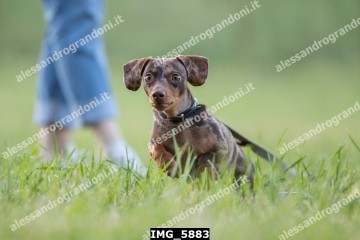 IMG_5883.jpg