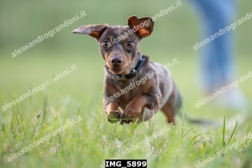 IMG_5899.jpg