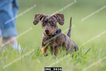 IMG_5926.jpg