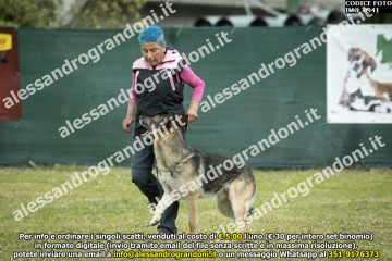IMG_0941.jpg