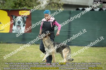 IMG_0943.jpg
