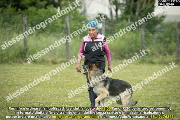 IMG_0949.jpg