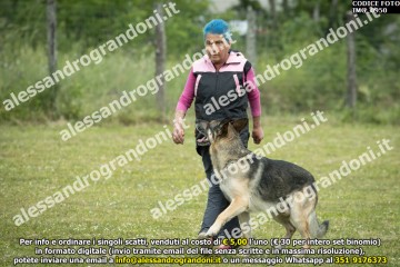 IMG_0950.jpg