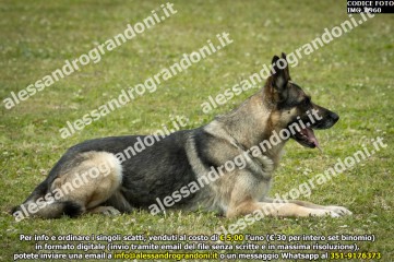 IMG_0960.jpg