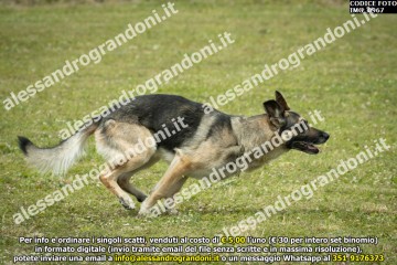 IMG_0967.jpg