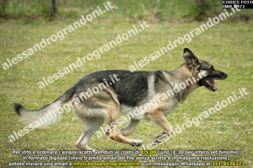 IMG_0972.jpg
