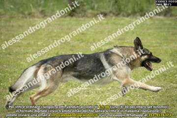 IMG_0973.jpg