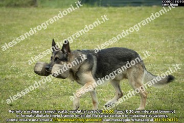 IMG_0988.jpg