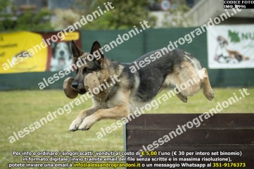 IMG_0996.jpg