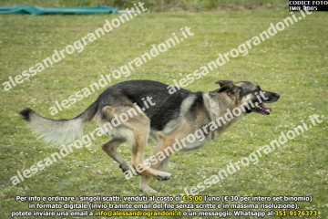 IMG_1005.jpg