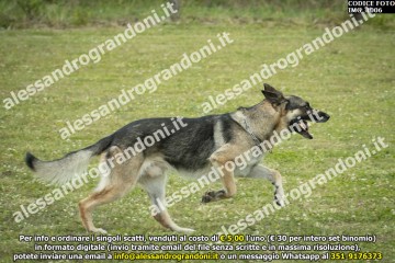 IMG_1006.jpg