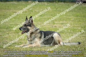 IMG_1007.jpg