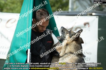 IMG_1291.jpg