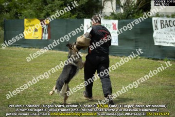 IMG_1305.jpg