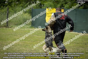 IMG_1308.jpg