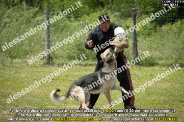IMG_1323.jpg