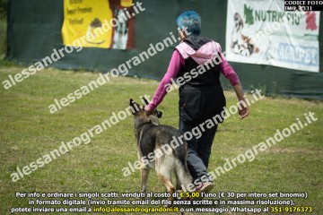 IMG_1331.jpg
