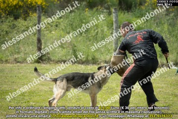 IMG_1342.jpg