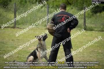 IMG_1352.jpg