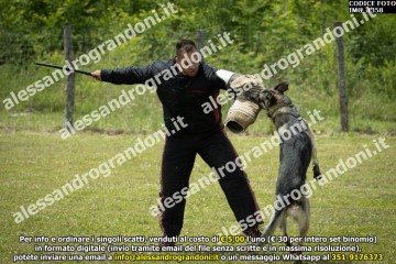 IMG_1358.jpg