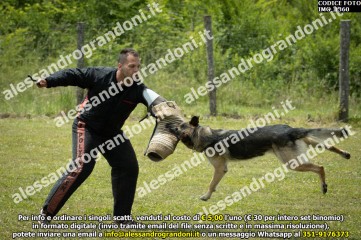 IMG_1360.jpg
