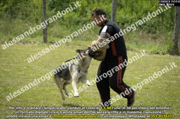 IMG_1369.jpg