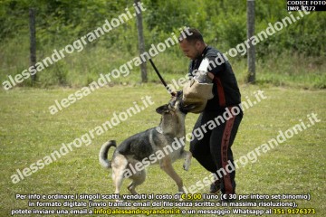 IMG_1372.jpg