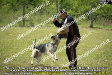 IMG_1376.jpg