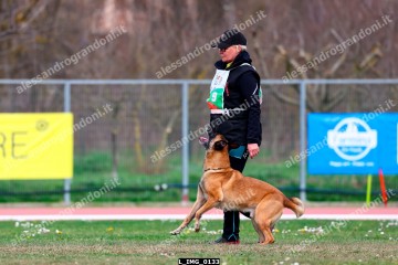 L_IMG_0133.jpg
