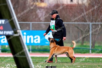 L_IMG_0134.jpg