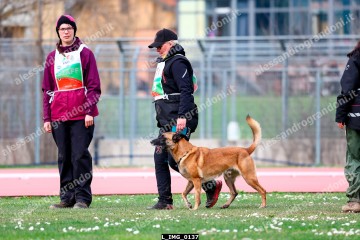 L_IMG_0137.jpg