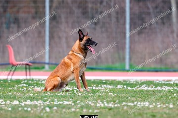 L_IMG_0139.jpg