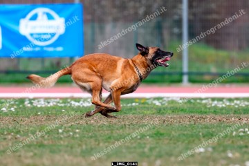 L_IMG_0141.jpg