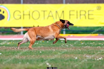 L_IMG_0142.jpg