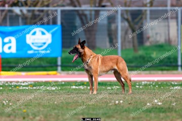 L_IMG_0145.jpg