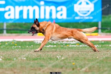 L_IMG_0146.jpg