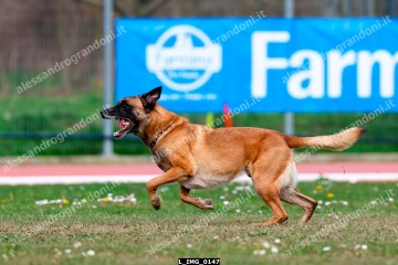 L_IMG_0147.jpg