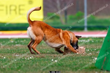 L_IMG_0149.jpg
