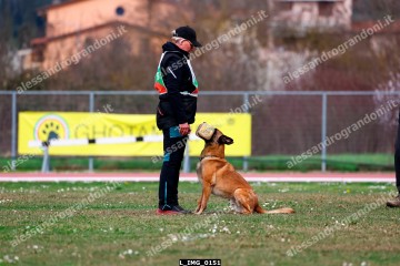 L_IMG_0151.jpg