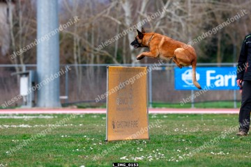 L_IMG_0153.jpg