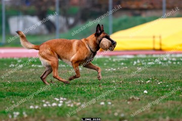 L_IMG_0155.jpg