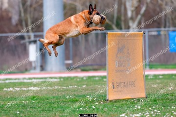 L_IMG_0156.jpg