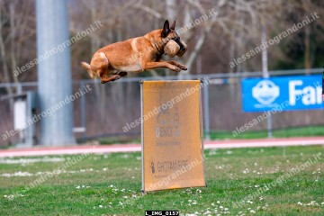 L_IMG_0157.jpg