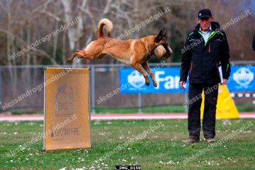L_IMG_0159.jpg